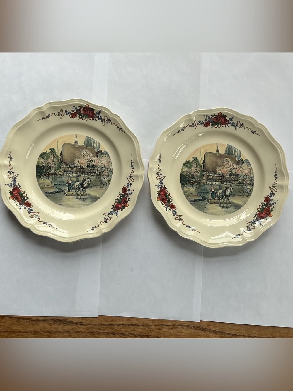 Set of two vintage Sarreguemines Obernai plates, 10” round